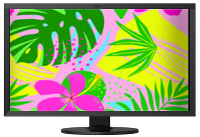 monitor con motivo epson
